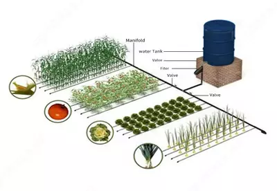 Yomgʻir-Tomchi-Diskret-Tumanlash-sug‘orish:Ertani bugungi yechimi