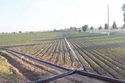 Yomgʻir-Tomchi-Diskret-Tumanlash-sug‘orish:Ertani bugungi yechimi