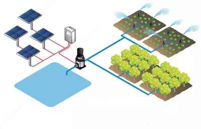 Yomgʻir-Tomchi-Diskret-Tumanlash-sug‘orish:Ertani bugungi yechimi