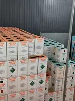 Фреон R-404А Tazzetti Refrix® Италия, баллон 10,9 кг очень высокого качества.
