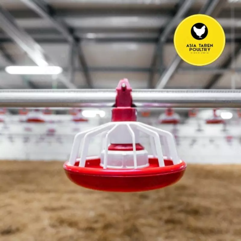 Кормушка для цыпленка бройлера