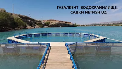 Baliq boqish setka qafas