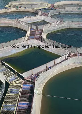 Baliq boqish setka qafas