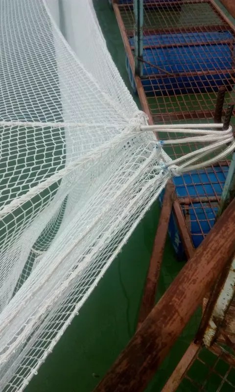 Baliq boqish setka qafas