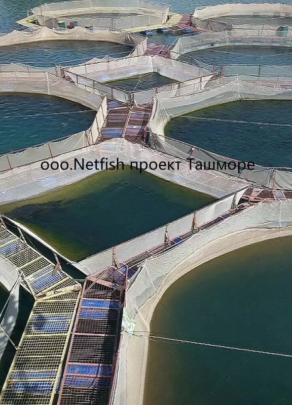 Baliq boqish setka qafas