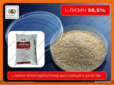 Лизин моногидрохлорид 98,5%