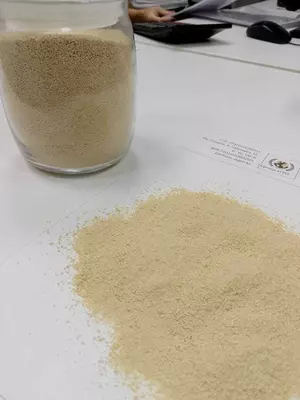 Лизин моногидрохлорид 98,5%