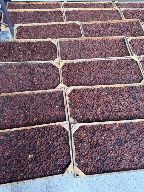 Barcha quruq mevalar