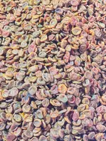 Barcha quruq mevalar