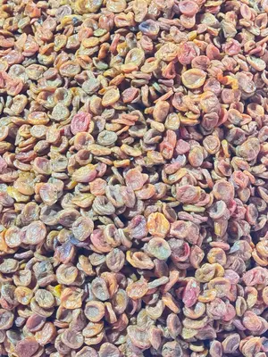 Barcha quruq mevalar