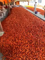 Barcha quruq mevalar