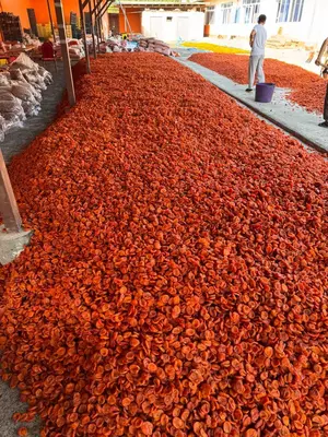 Barcha quruq mevalar