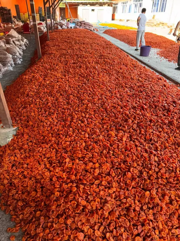 Barcha quruq mevalar