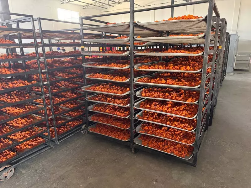 Barcha quruq mevalar