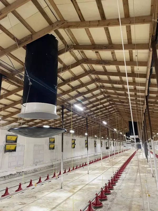 Ishlatilgan Germaniya broyler uskunalari