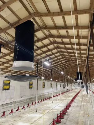 Б/У Немецкое оборудование для бройлеров