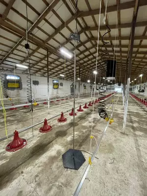 Б/У Немецкое оборудование для бройлеров