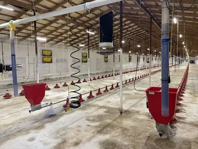 Б/У Немецкое оборудование для бройлеров